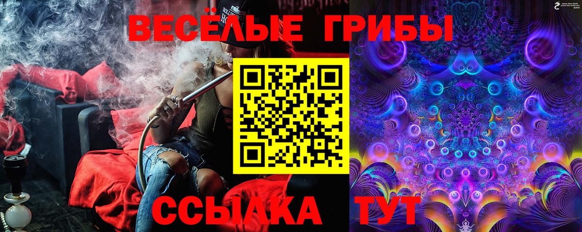 Ноябрьск  Псилоцибиновые грибы прущие грибы  Псилоцибиновые грибы GOLDEN TEACHER  Вход с VPN 